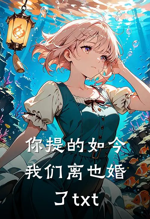 你提的如今我们离也婚了txt
