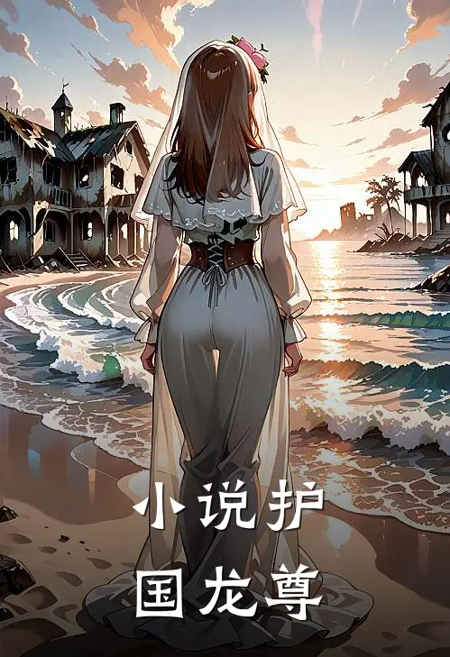小说护国龙尊
