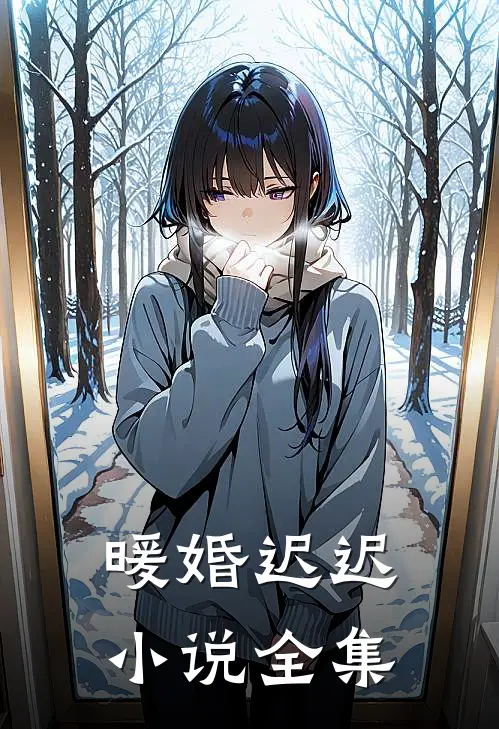 暖婚迟迟小说全集