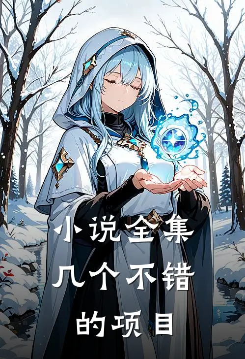 小说全集几个不错的项目