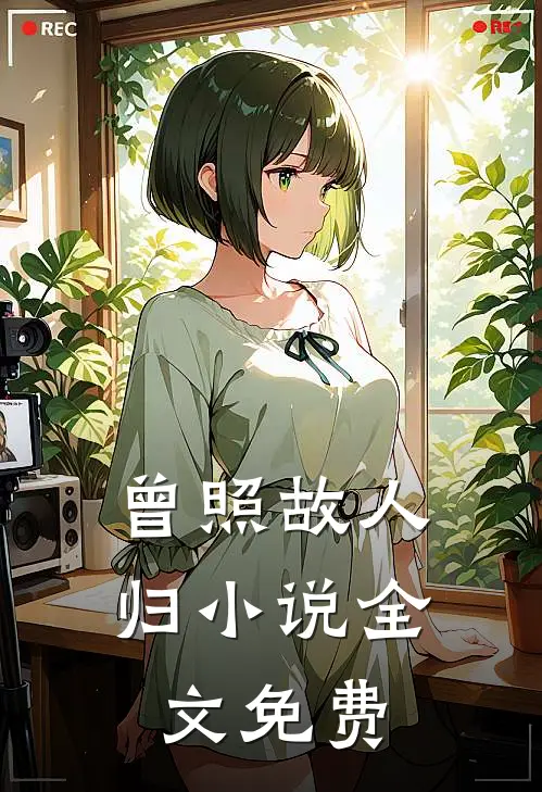 曾照故人归小说全文免费
