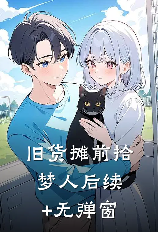 旧货摊前拾梦人后续+无弹窗