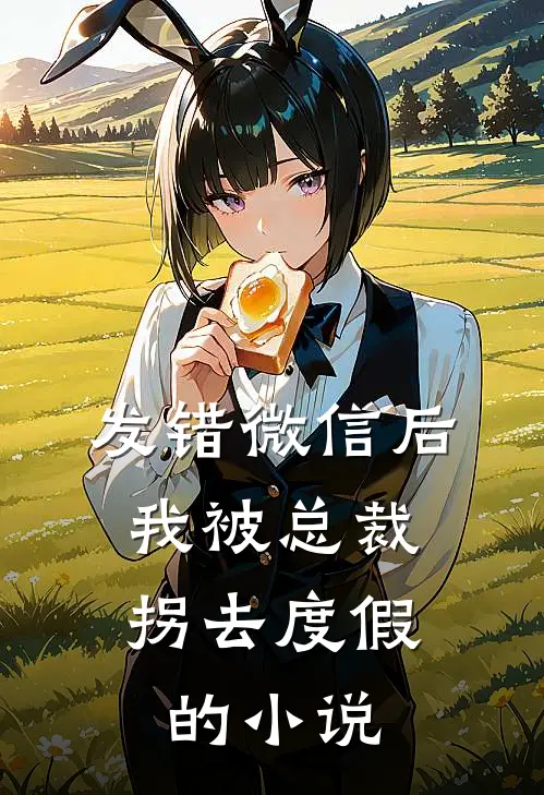发错微信后，我被总裁拐去度假的小说