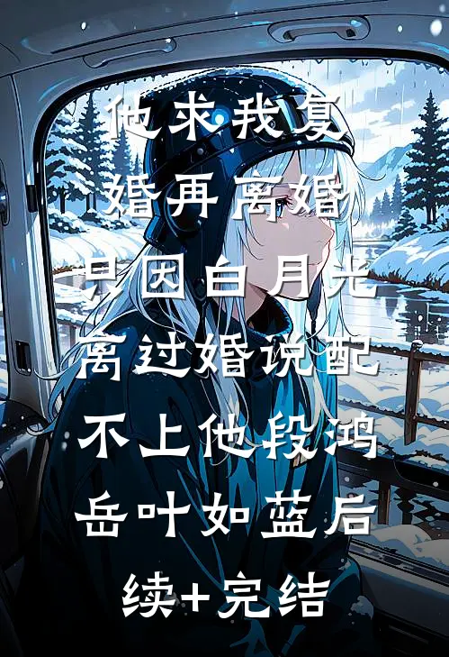 他求我复婚再离婚，只因白月光离过婚说配不上他段鸿岳叶如蓝后续+完结