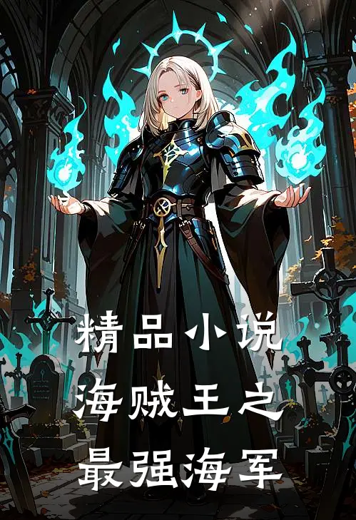 精品小说海贼王之最强海军