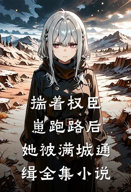 揣着权臣崽跑路后，她被满城通缉全集小说