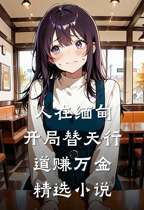 人在缅甸，开局替天行道赚万金精选小说