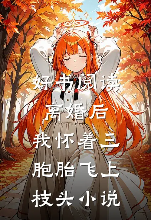 好书阅读离婚后,我怀着三胞胎飞上枝头小说