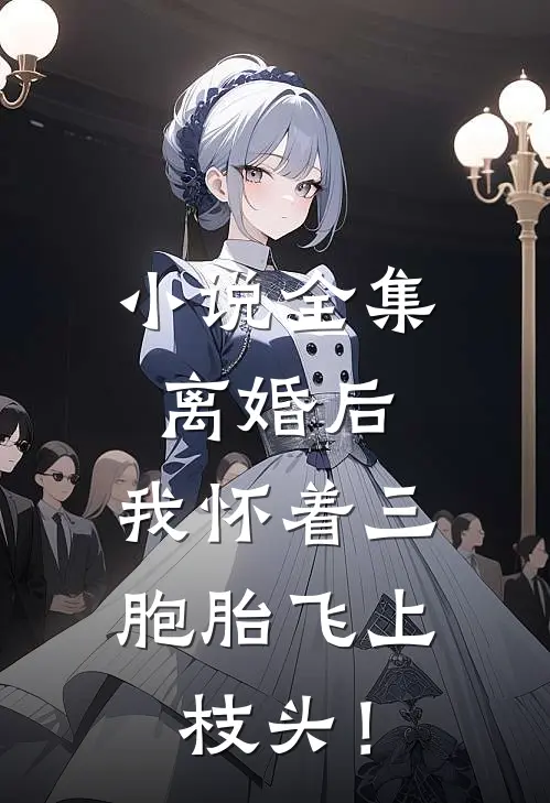 小说全集离婚后，我怀着三胞胎飞上枝头！