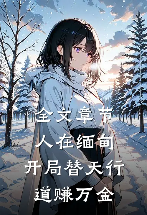 全文章节人在缅甸，开局替天行道赚万金