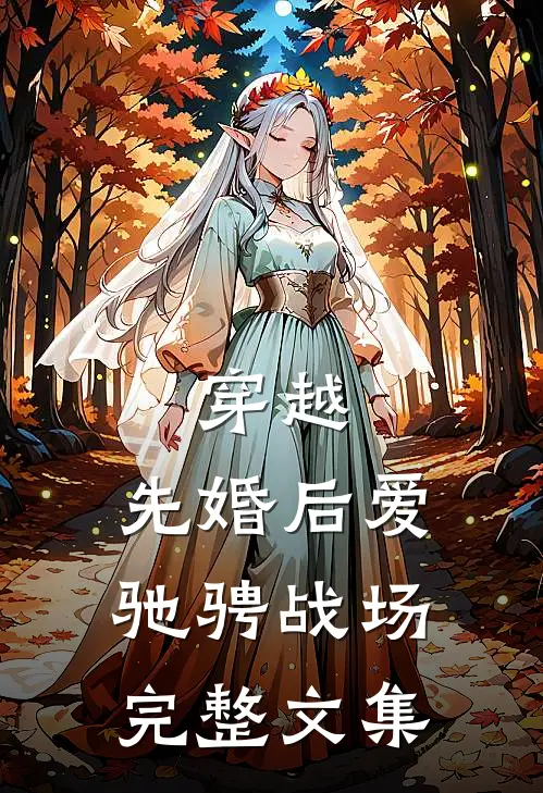 穿越：先婚后爱驰骋战场完整文集