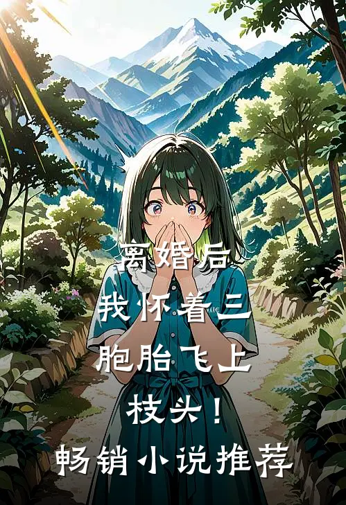 离婚后，我怀着三胞胎飞上枝头！畅销小说推荐