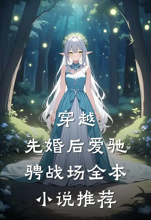 穿越：先婚后爱驰骋战场全本小说推荐