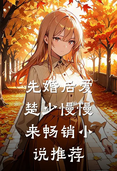 先婚后爱，楚少慢慢来畅销小说推荐