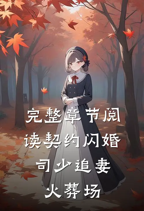 完整章节阅读契约闪婚：司少追妻火葬场
