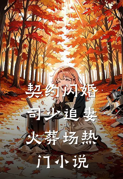契约闪婚：司少追妻火葬场热门小说