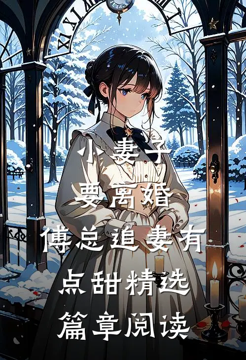小妻子要离婚，傅总追妻有点甜精选篇章阅读