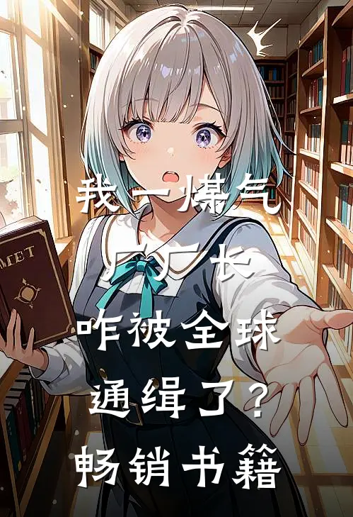 我一煤气厂厂长，咋被全球通缉了？畅销书籍