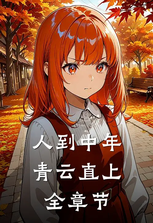 人到中年：青云直上全章节