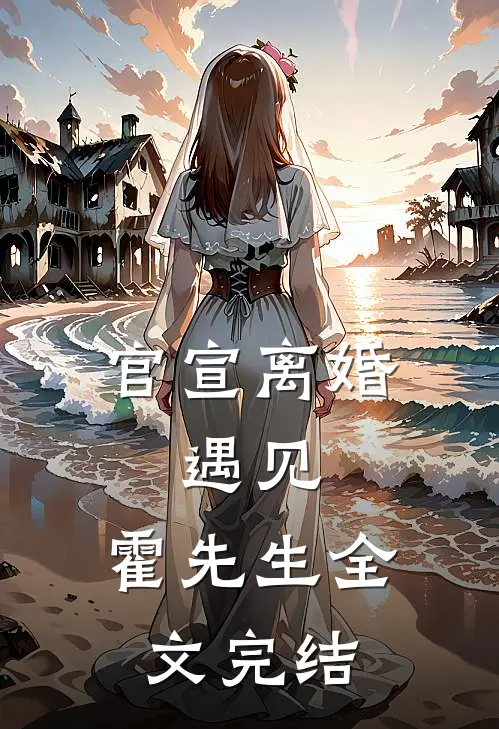 官宣离婚：遇见，霍先生全文完结