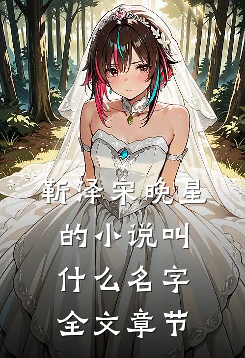 靳泽宋晚星的小说叫什么名字全文章节