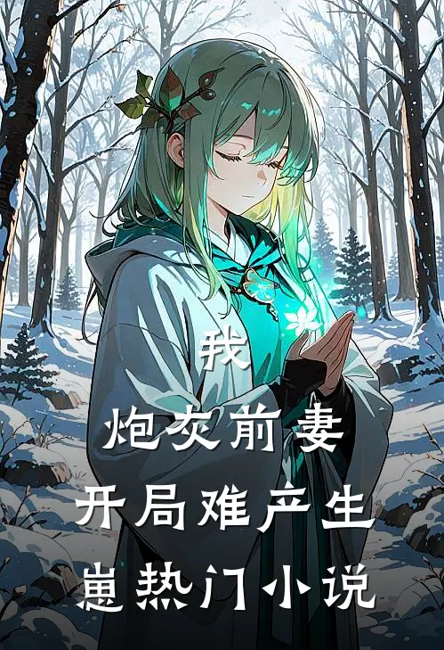 我，炮灰前妻，开局难产生崽热门小说