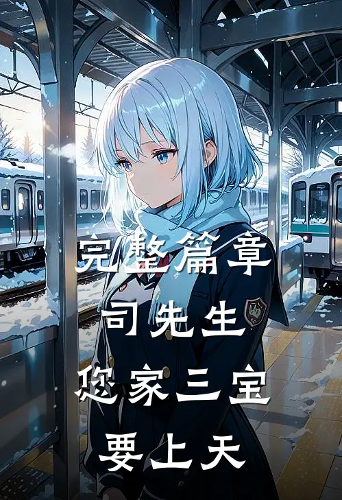 完整篇章司先生，您家三宝要上天