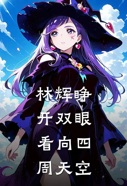 林辉睁开双眼，看向四周天空