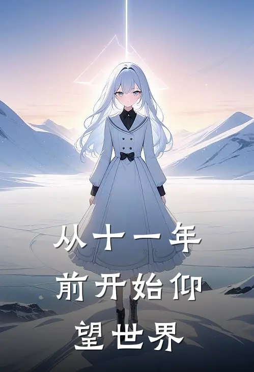 从十一年前开始仰望世界