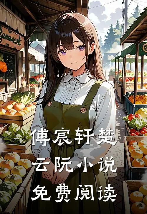 傅宸轩楚云阮小说免费阅读