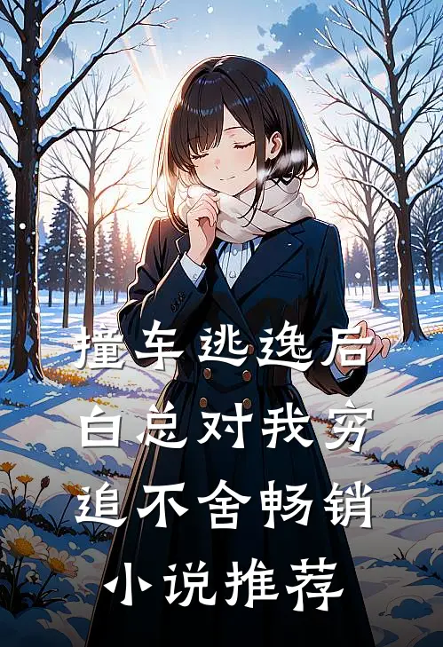 撞车逃逸后，白总对我穷追不舍畅销小说推荐
