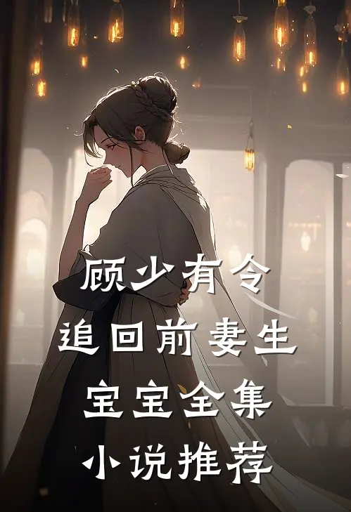 顾少有令：追回前妻生宝宝全集小说推荐