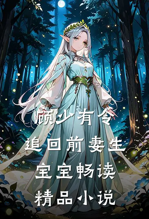 顾少有令：追回前妻生宝宝畅读精品小说