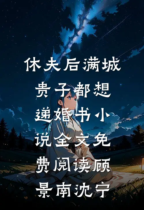休夫后满城贵子都想递婚书小说全文免费阅读顾景南沈宁