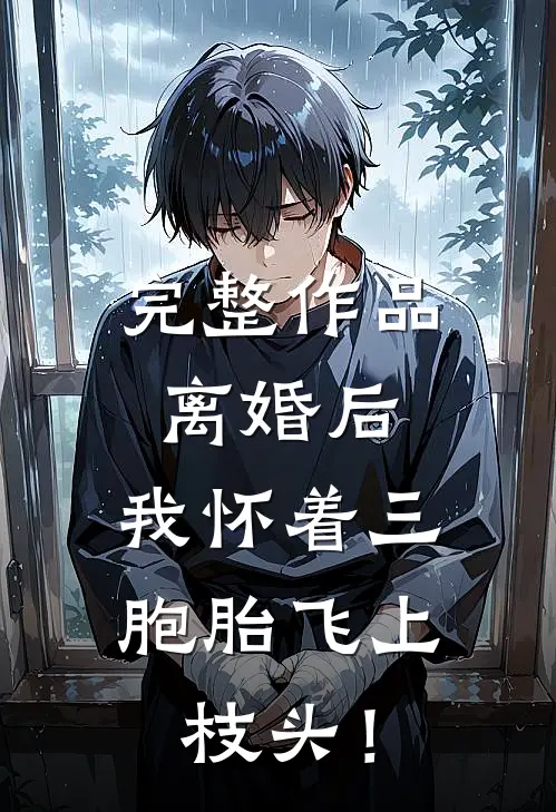完整作品离婚后，我怀着三胞胎飞上枝头！