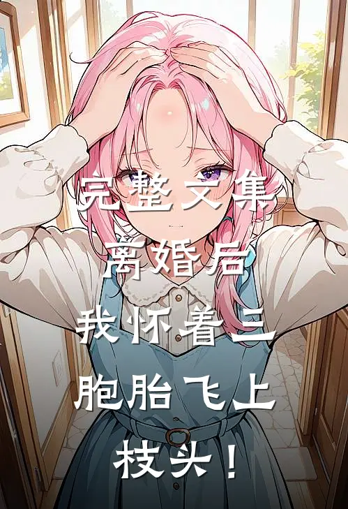 完整文集离婚后，我怀着三胞胎飞上枝头！