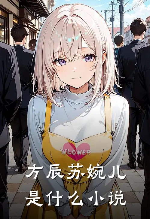 方辰苏婉儿是什么小说