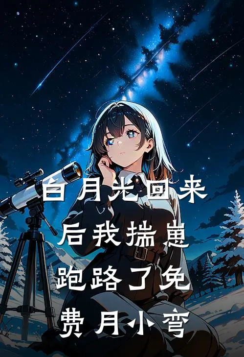 白月光回来后我揣崽跑路了免费月小弯