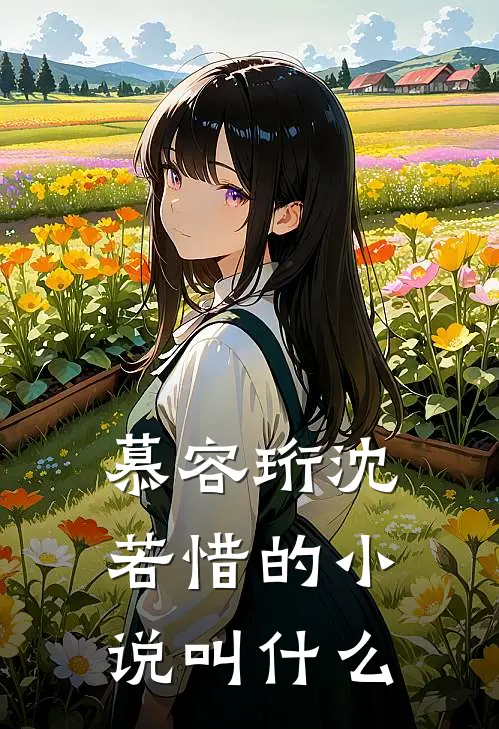 慕容珩沈若惜的小说叫什么