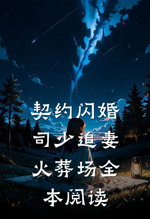 契约闪婚：司少追妻火葬场全本阅读