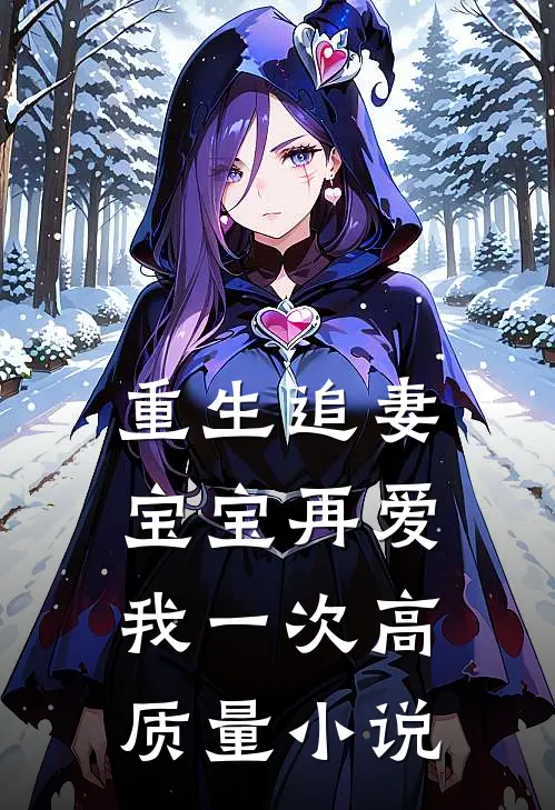 重生追妻：宝宝再爱我一次高质量小说