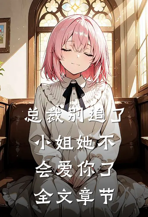 总裁别追了，小姐她不会爱你了全文章节