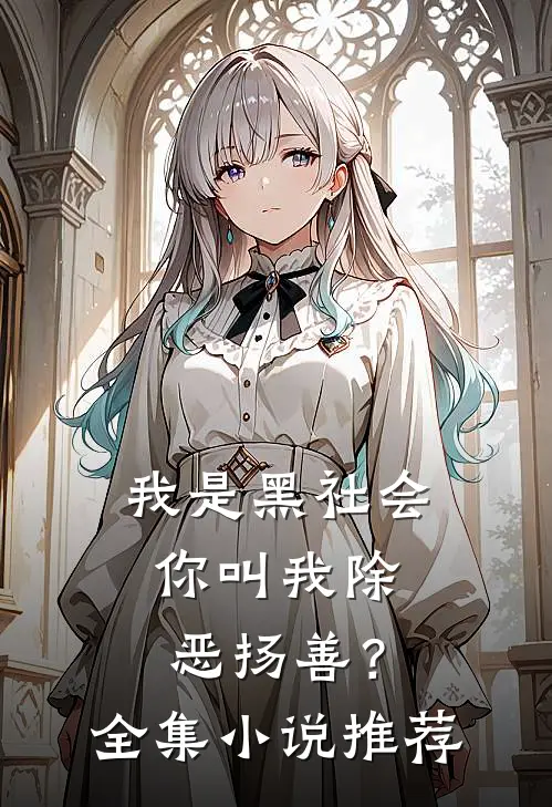 我是黑社会，你叫我除恶扬善？全集小说推荐