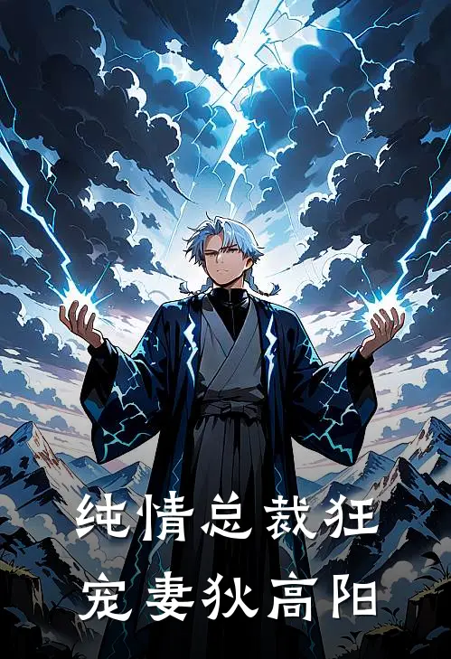 纯情总裁狂宠妻狄高阳