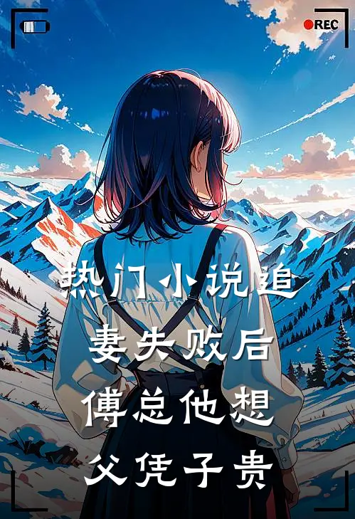 热门小说追妻失败后，傅总他想父凭子贵