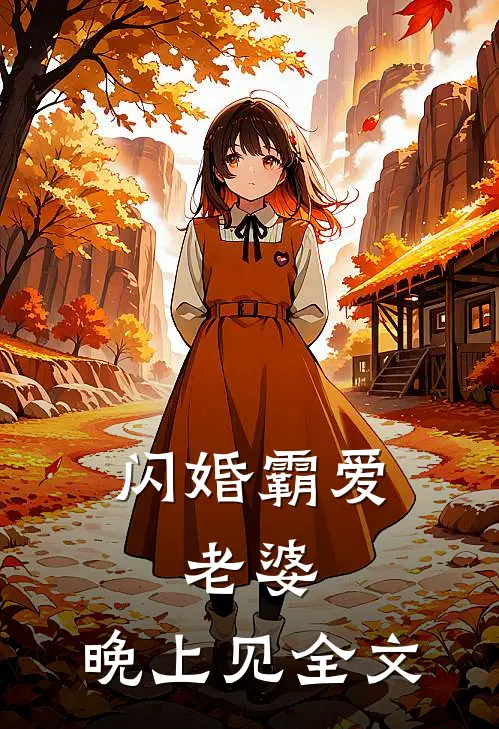闪婚霸爱：老婆，晚上见全文