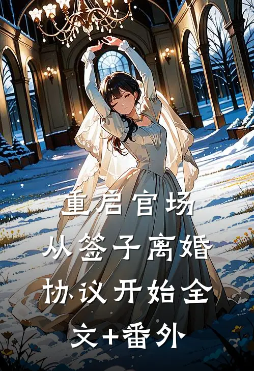 重启官场：从签子离婚协议开始全文+番外