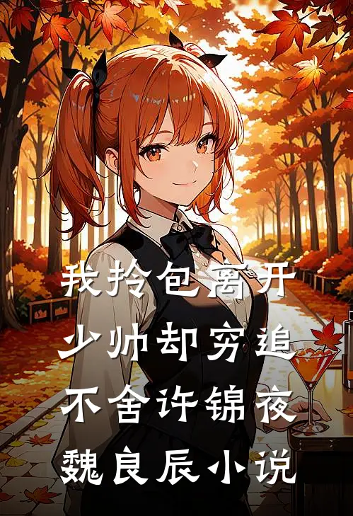 我拎包离开，少帅却穷追不舍许锦夜魏良辰小说