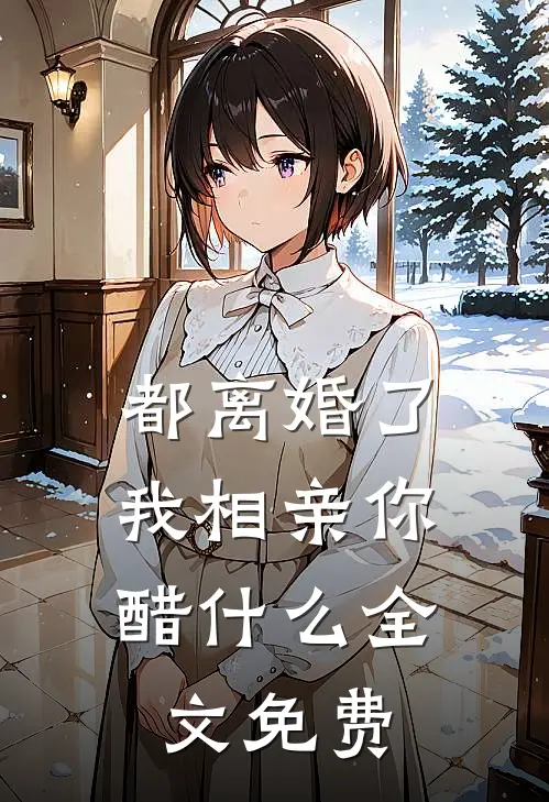 都离婚了，我相亲你醋什么全文免费