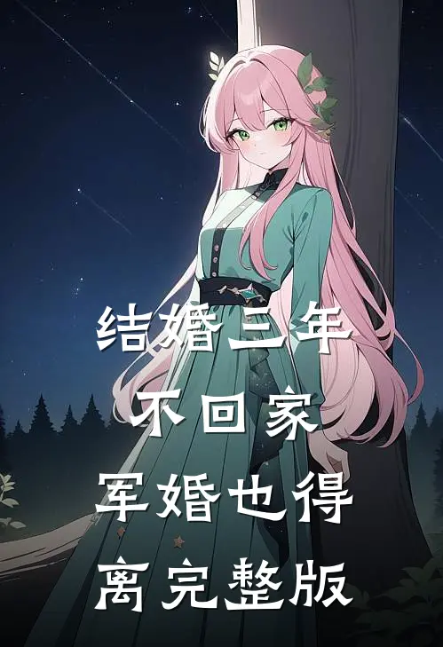 结婚三年不回家，军婚也得离完整版